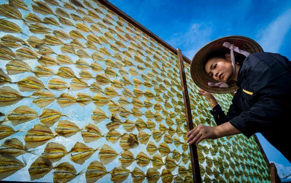 Viaggio Fuori Dalle Rotte & Isola Phu Quoc 14 Giorni